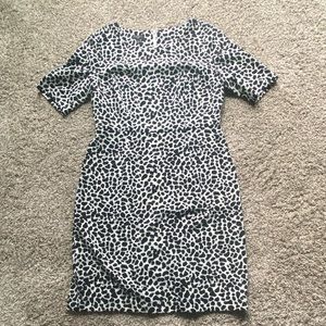 Talbots | Animal Print Sheath Dress